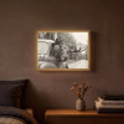 Eland - Auto - Gewei - Zwart - Wit Light Box met batterij (Wandlamp) middel -sfeer4