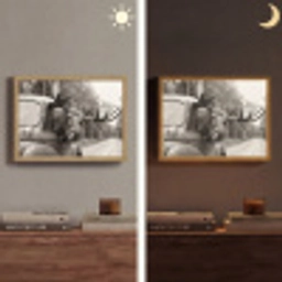 Eland - Auto - Gewei - Zwart - Wit Light Box met batterij (Wandlamp) middel -sfeer3