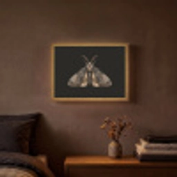 Mot - Bladachtig - Grijs Light Box met batterij (Wandlamp) middel -sfeer4