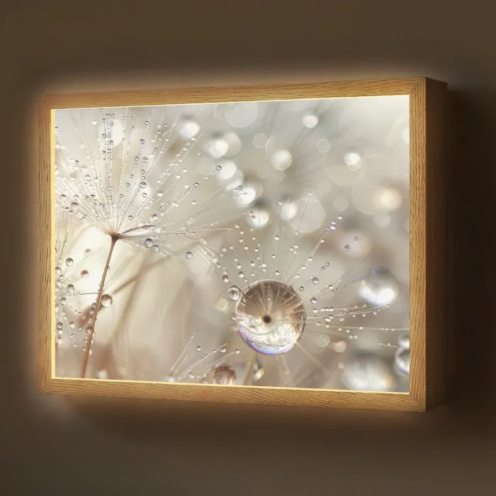 Natuur - Bloemen - Druppels - Regen Light Box met batterij (Wandlamp) middel -z3d_website