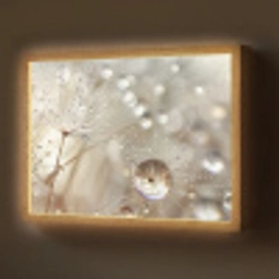 Natuur - Bloemen - Druppels - Regen Light Box met batterij (Wandlamp) middel -z3d_website