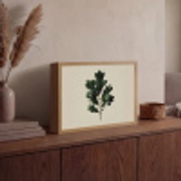 Eikenbladeren - Beige - Groen - Golvende randen Light Box met batterij (Wandlamp) middel -sfeer2