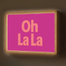 Oh la la - Luipaardprint - Roze Light Box met batterij (Wandlamp) middel -z3d_website