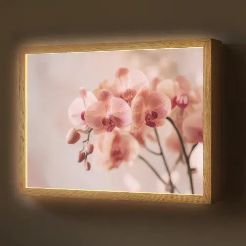 Orchidee - Bloemen - Roze - Bloemblaadjes Light Box met batterij (Wandlamp) middel -z3d_website