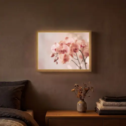 Orchidee - Bloemen - Roze - Bloemblaadjes Light Box met batterij (Wandlamp) middel -sfeer4