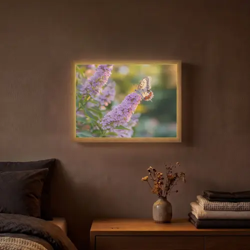 Sierlijke - Vlinder - Paarse - Bloemen Light Box met batterij (Wandlamp) middel -sfeer4