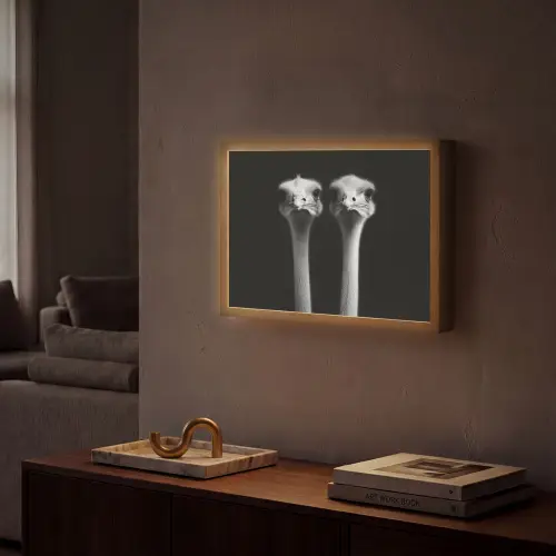Struisvogels - Halzen - Zwart - Minimalistisch Light Box met batterij (Wandlamp) middel -sfeer1