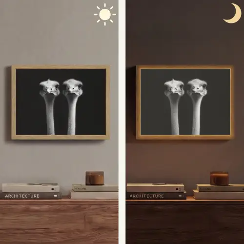 Struisvogels - Halzen - Zwart - Minimalistisch Light Box met batterij (Wandlamp) middel -sfeer3