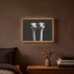Struisvogels - Halzen - Zwart - Minimalistisch Light Box met batterij (Wandlamp) middel -sfeer4