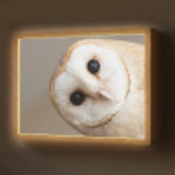 Uil - Bruin - Wit Light Box met batterij (Wandlamp) middel -z3d_website