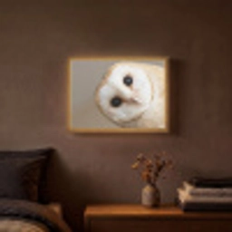 Uil - Bruin - Wit Light Box met batterij (Wandlamp) middel -sfeer4