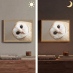 Uil - Bruin - Wit Light Box met batterij (Wandlamp) middel -sfeer3