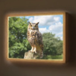 Uil - Boomstronk - Bos - Lucht Light Box met batterij (Wandlamp) middel -z3d_website