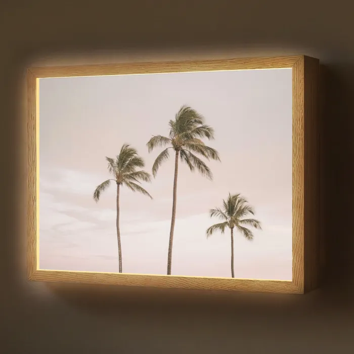 Palmbomen - Zonsondergang - Roze Light Box met batterij (Wandlamp) middel -z3d_website