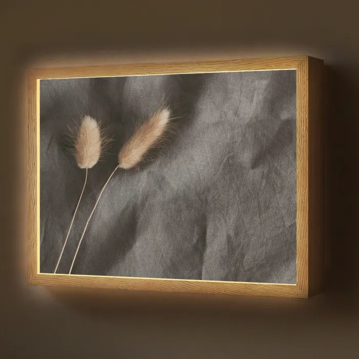 Pampasgras - Pluim - Zwart - Beige Light Box met batterij (Wandlamp) middel -z3d_website
