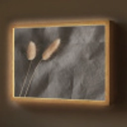 Pampasgras - Pluim - Zwart - Beige Light Box met batterij (Wandlamp) middel -z3d_website