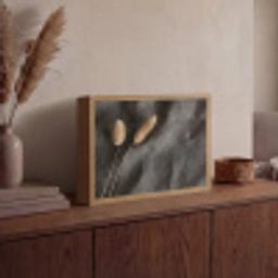 Pampasgras - Pluim - Zwart - Beige Light Box met batterij (Wandlamp) middel -sfeer2