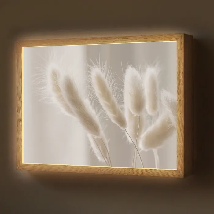 Pampasgras - Pluim - Wit Light Box met batterij (Wandlamp) middel -z3d_website