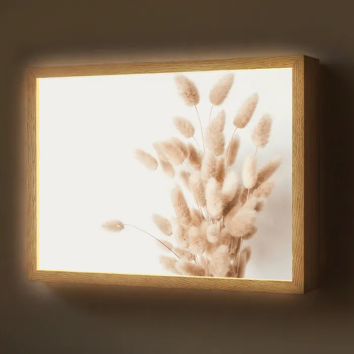 Pampasgras - Pluim - Wit - Beige Light Box met batterij (Wandlamp) middel -z3d_website