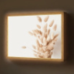 Pampasgras - Pluim - Wit - Beige Light Box met batterij (Wandlamp) middel -z3d_website