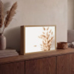 Pampasgras - Pluim - Wit - Beige Light Box met batterij (Wandlamp) middel -sfeer2