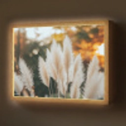 Pampasgras - Pluimen - Sierlijk Light Box met batterij (Wandlamp) middel -z3d_website