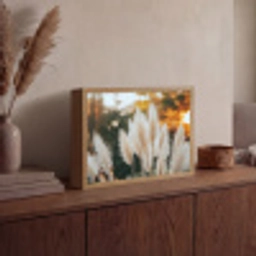 Pampasgras - Pluimen - Sierlijk Light Box met batterij (Wandlamp) middel -sfeer2