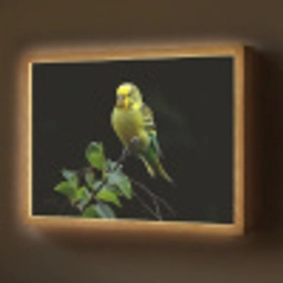 Parkiet - Tak - Bladeren - Geel Light Box met batterij (Wandlamp) middel -z3d_website