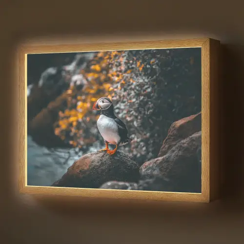 Papegaai - Vogel - Rots - Wit Light Box met batterij (Wandlamp) middel -z3d_website