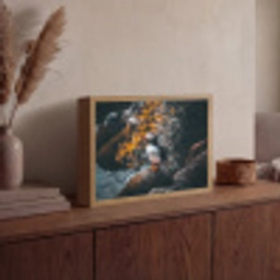Papegaai - Vogel - Rots - Wit Light Box met batterij (Wandlamp) middel -sfeer2