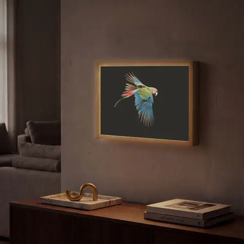 Papegaai - Kleurrijk - Vleugels - Sierlijk Light Box met batterij (Wandlamp) middel -sfeer1