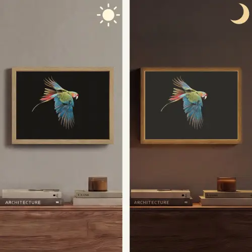 Papegaai - Kleurrijk - Vleugels - Sierlijk Light Box met batterij (Wandlamp) middel -sfeer3