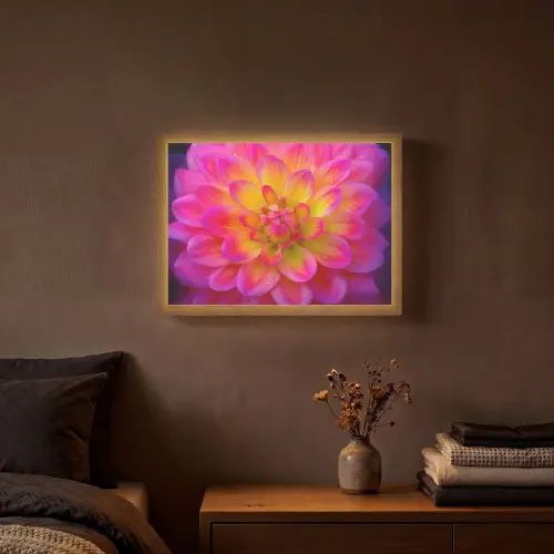 Roze - Dahlia - Kleurrijk Light Box met batterij (Wandlamp) middel -sfeer4