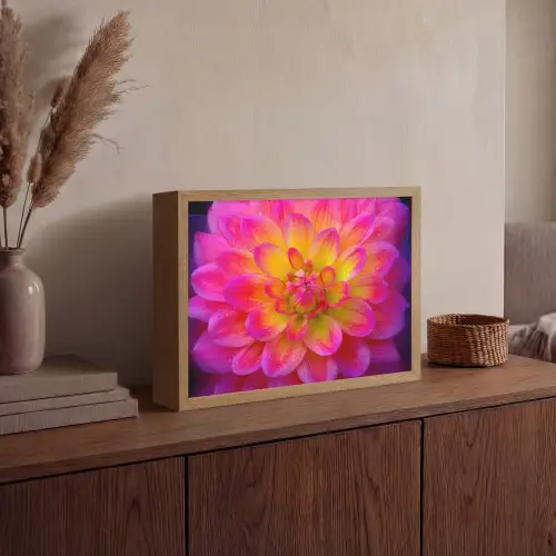 Roze - Dahlia - Kleurrijk Light Box met batterij (Wandlamp) middel -sfeer2