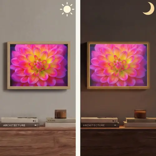 Roze - Dahlia - Kleurrijk Light Box met batterij (Wandlamp) middel -sfeer3