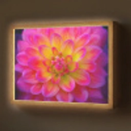 Roze - Dahlia - Kleurrijk Light Box met batterij (Wandlamp) middel -z3d_website