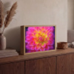 Roze - Dahlia - Kleurrijk Light Box met batterij (Wandlamp) middel -sfeer2