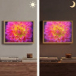 Roze - Dahlia - Kleurrijk Light Box met batterij (Wandlamp) middel -sfeer3
