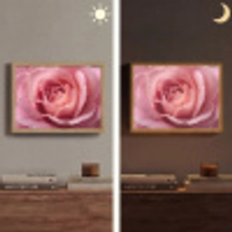 Roze - Roos - Romantisch Light Box met batterij (Wandlamp) middel -sfeer3