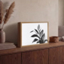Plant - Bladeren - Minimalistisch - Zwart Light Box met batterij (Wandlamp) middel -sfeer2