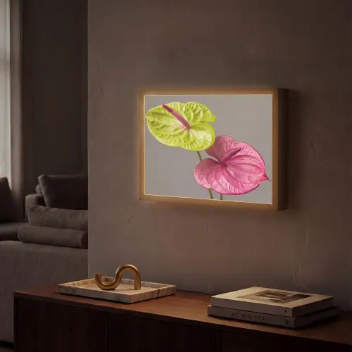 Planten - Anthurium - Groen - Roze Light Box met batterij (Wandlamp) middel -sfeer1
