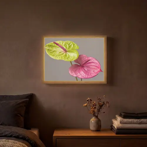 Planten - Anthurium - Groen - Roze Light Box met batterij (Wandlamp) middel -sfeer4