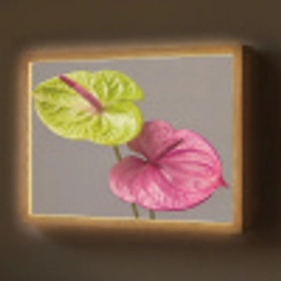 Planten - Anthurium - Groen - Roze Light Box met batterij (Wandlamp) middel -z3d_website