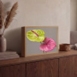 Planten - Anthurium - Groen - Roze Light Box met batterij (Wandlamp) middel -sfeer2
