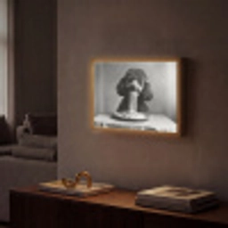 Poedel - Hond - Zwart - Wit - Schattig - Pasta Light Box met batterij (Wandlamp) middel -sfeer1