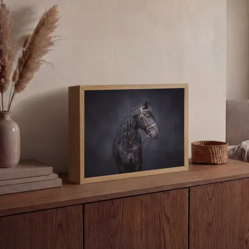 Portret - Paard - Donker Light Box met batterij (Wandlamp) middel -sfeer2