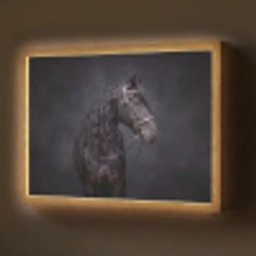 Portret - Paard - Donker Light Box met batterij (Wandlamp) middel -z3d_website