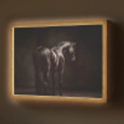 Krachtig - Paard - Donker Light Box met batterij (Wandlamp) middel -z3d_website