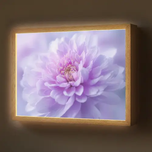Paars - Dahlia - Dromerig Light Box met batterij (Wandlamp) middel -z3d_website