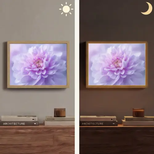 Paars - Dahlia - Dromerig Light Box met batterij (Wandlamp) middel -sfeer3